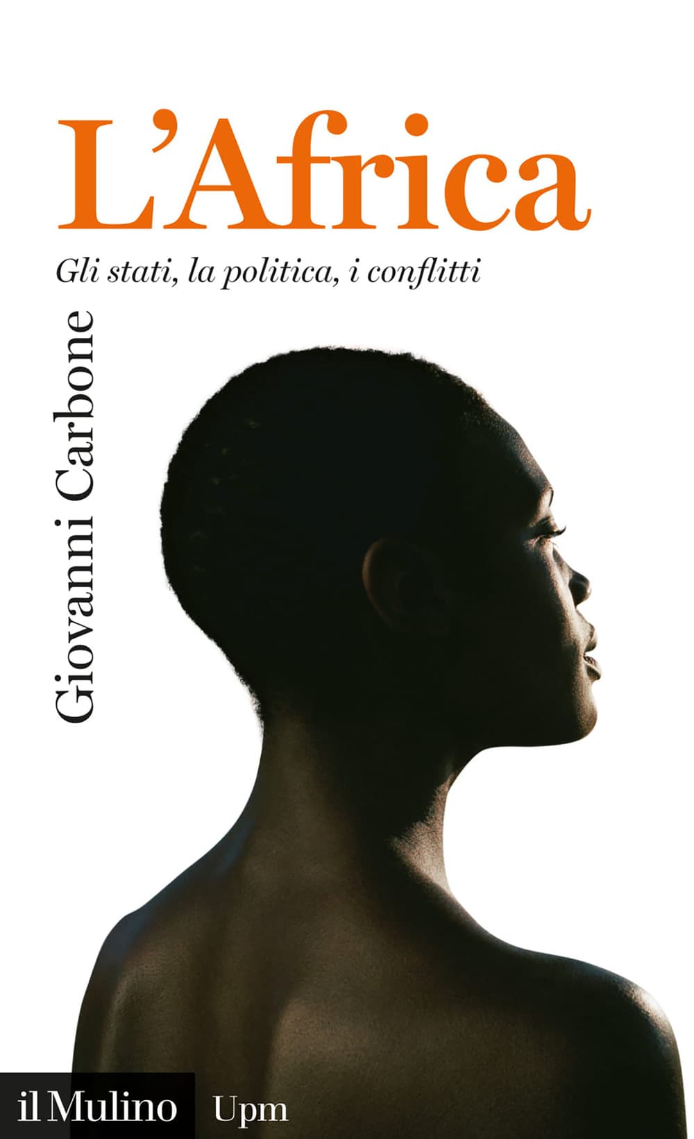 Africa. Gli stati, la politica, i conflitti