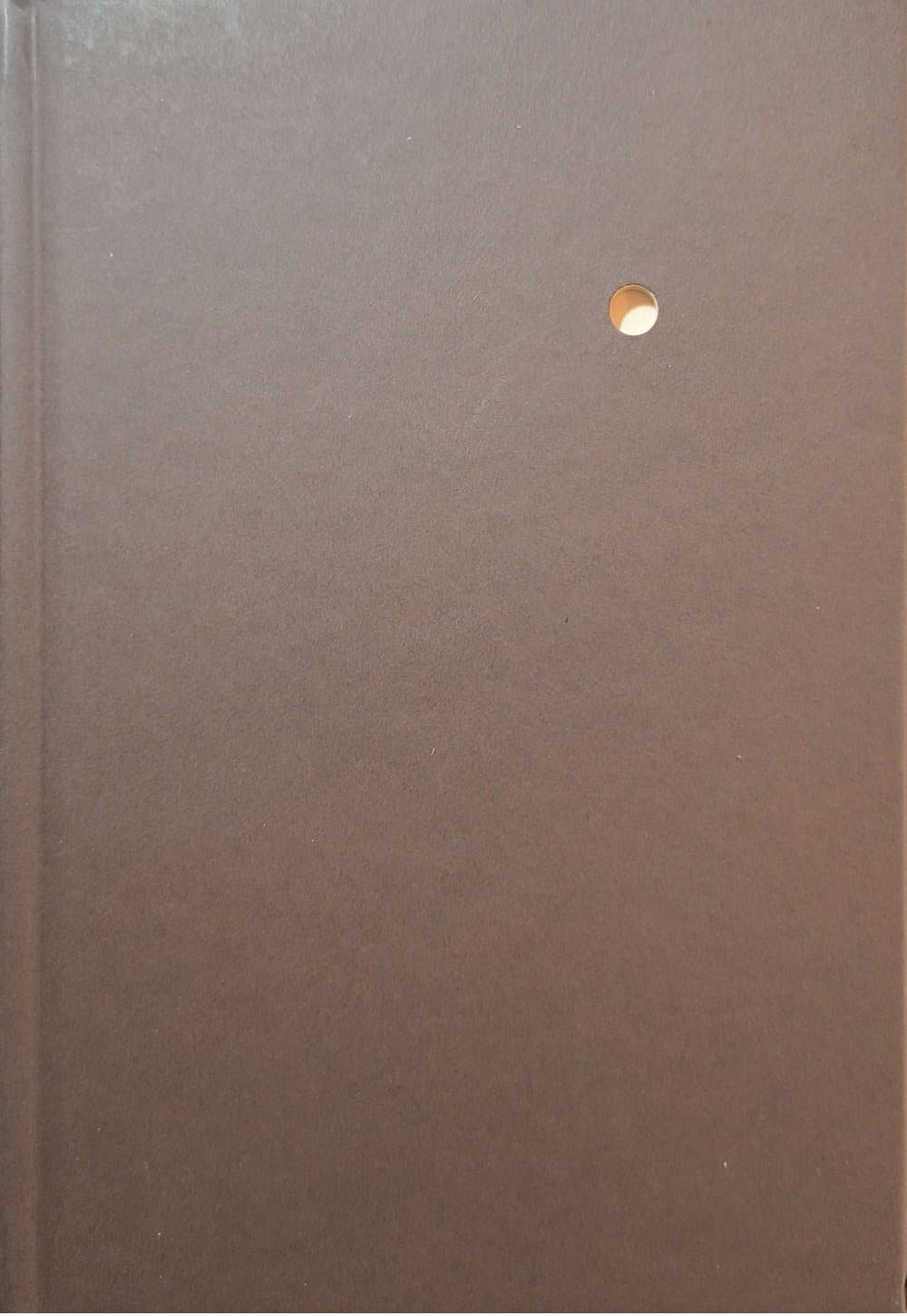 Agenda 2026: i nemici del libro secondo Gaetano Volpi. Ediz italiana e inglese