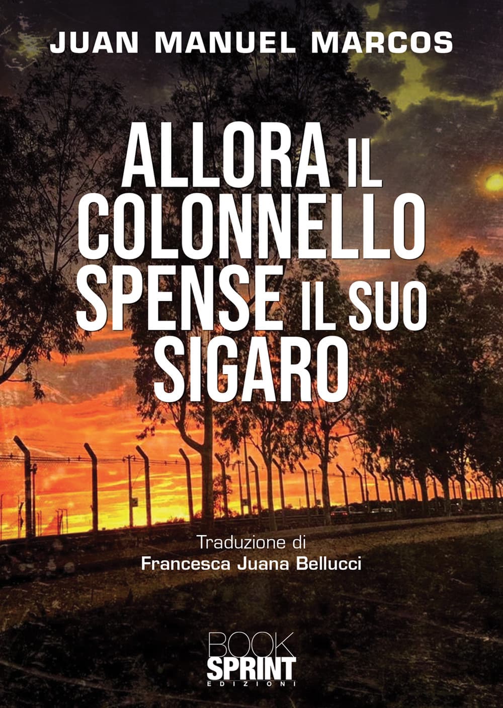 Allora il colonnello spense il suo sigaro