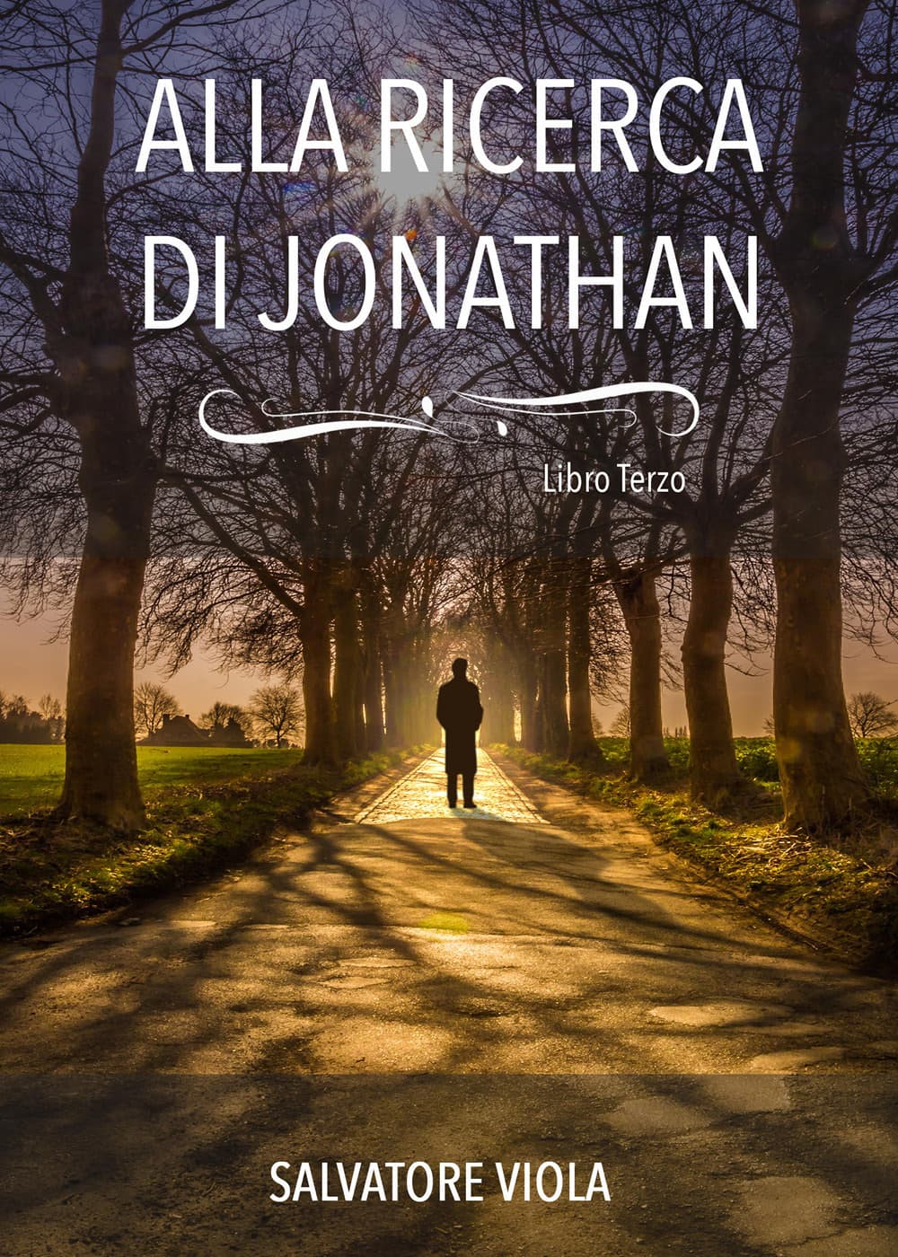 Alla ricerca di Jonathan