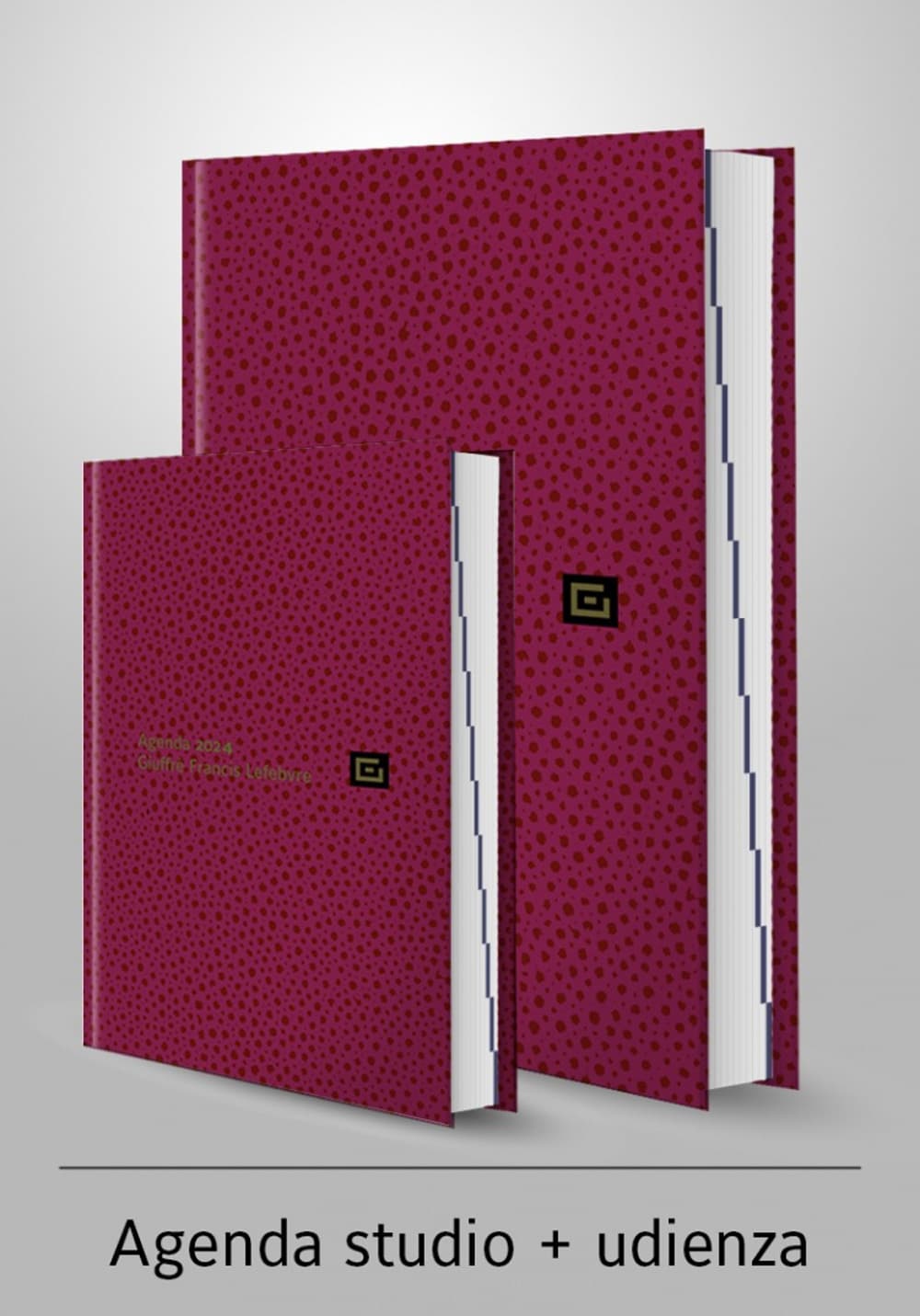 Agenda studio-Agenda d'udienza 2024. Ediz. rossa