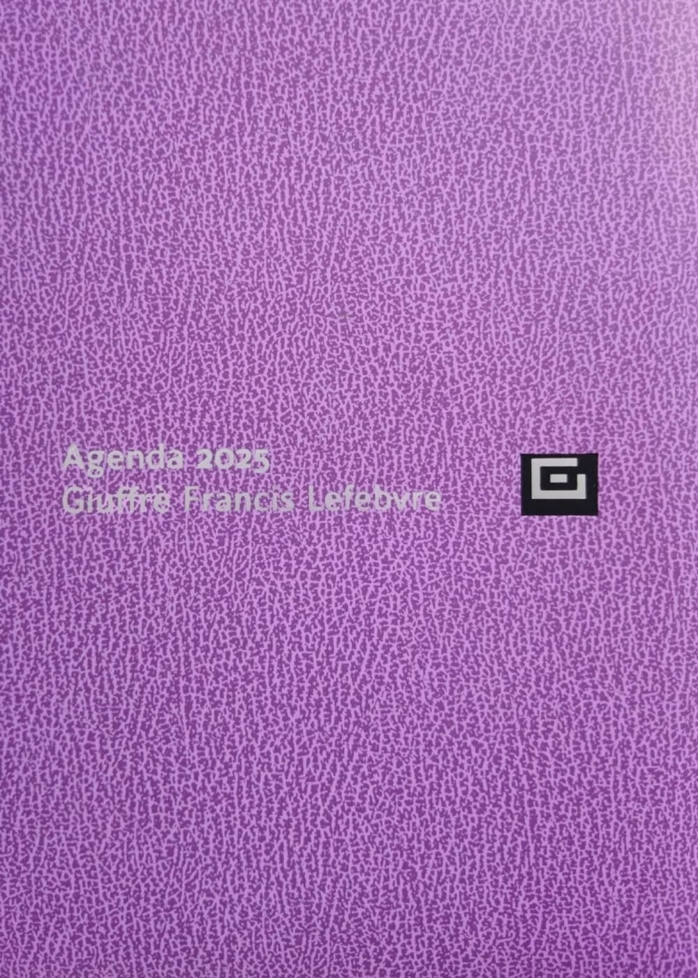 Agenda d'udienza 2025. Ediz. lilla