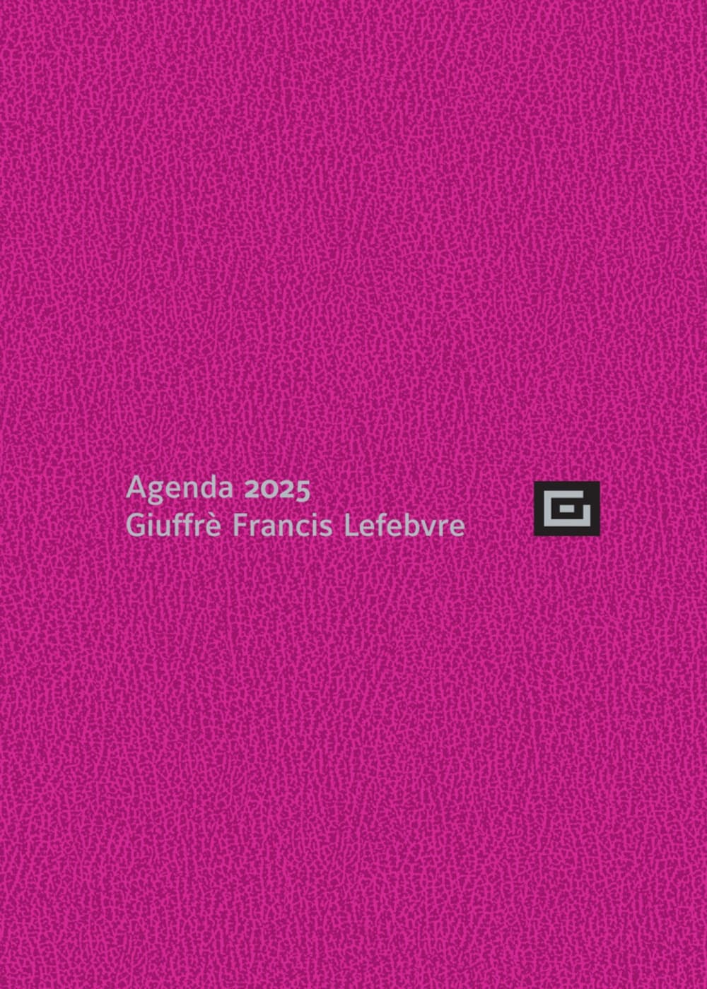 Agenda d'udienza 2025. Ediz. rhodamine
