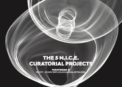 5 N.I.C.E. Curatorial Projects