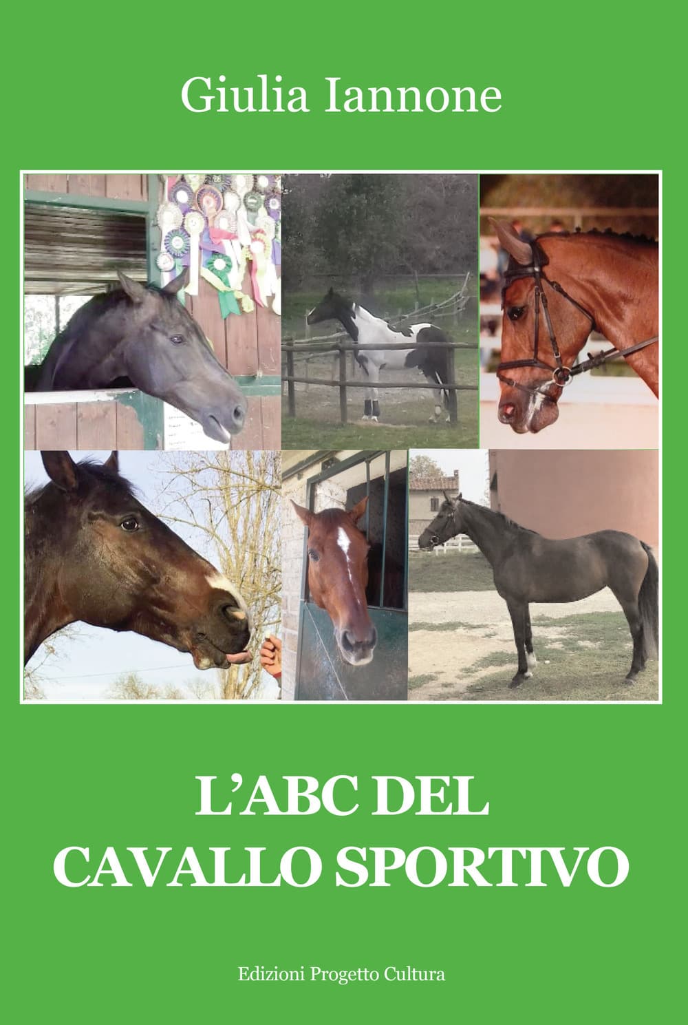ABC del cavallo sportivo