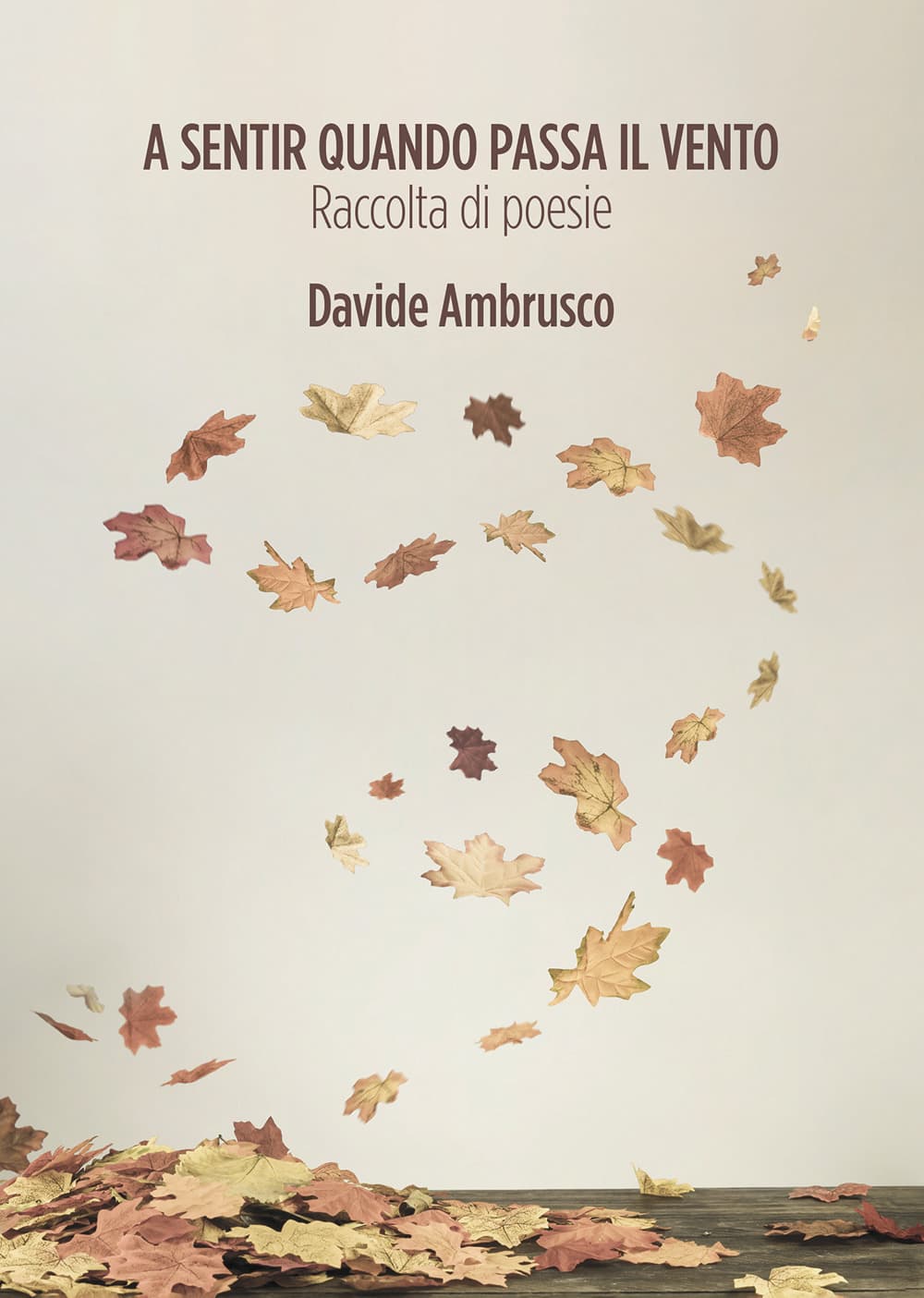 A sentir quando passa il vento