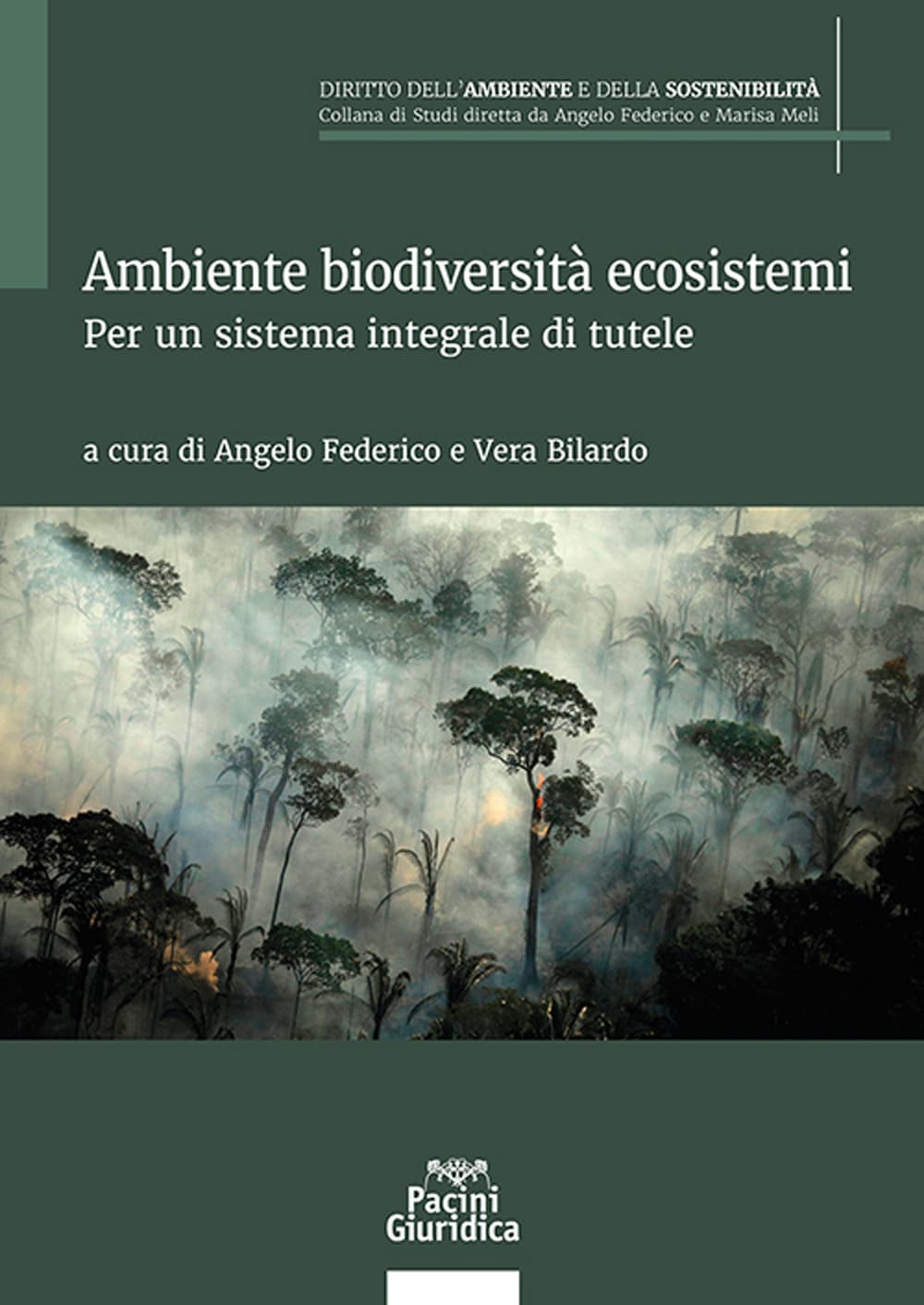 Ambiente biodiversità ecosistemi. Per un sistema integrale di tutele