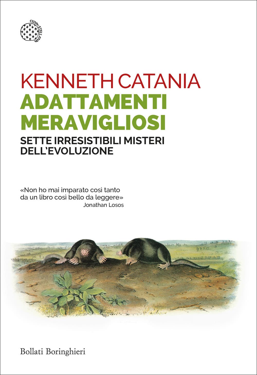 Adattamenti meravigliosi. Sette irresistibili misteri dell'evoluzione
