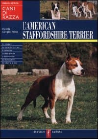 American Staffordshire Terrier