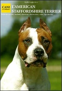 American Staffordshire Terrier