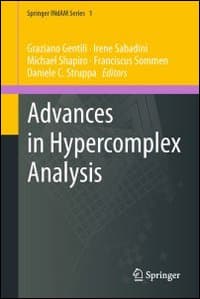 Advances in hypercomplex analysis