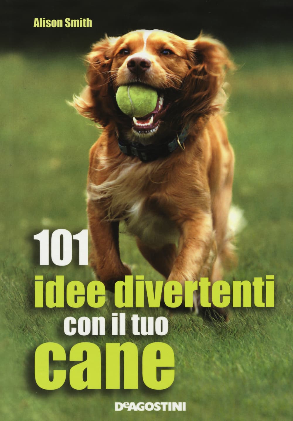 101 idee divertenti con il tuo cane