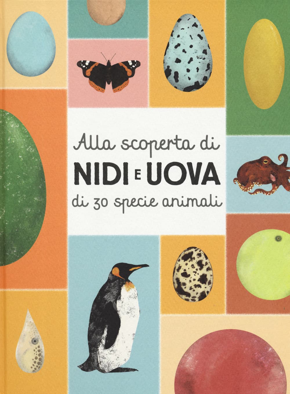 Alla scoperta di nidi e uova di 30 specie animali
