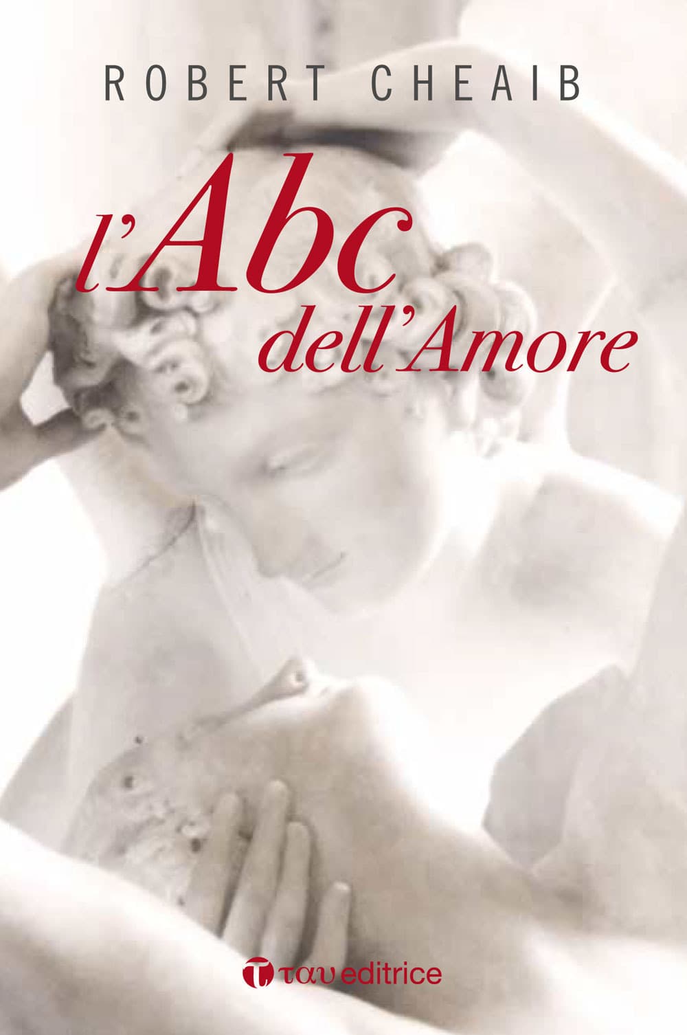 ABC dell'amore. Sei parole per costruire e custodire la famiglia