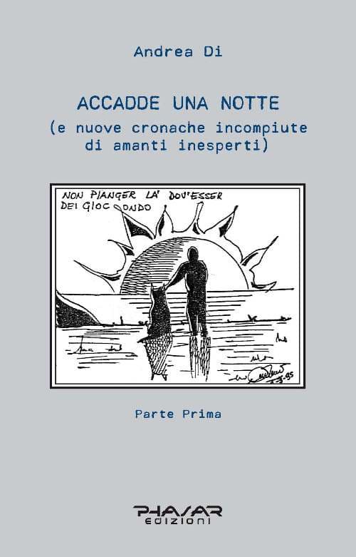 Accadde una notte (e nuove cronache incompiute di amanti inesperti)