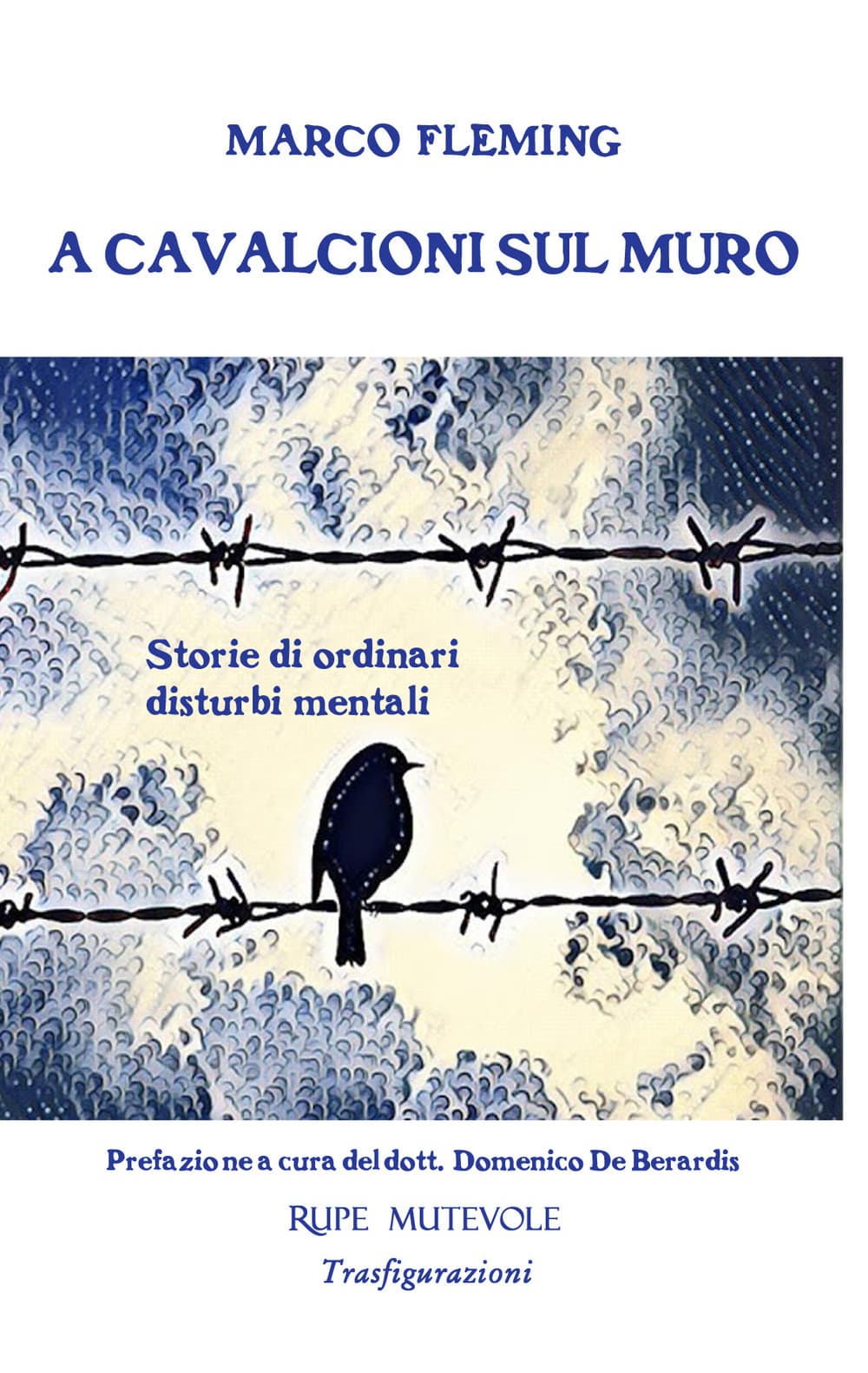 A cavalcioni sul muro. Storie di ordinari disturbi mentali