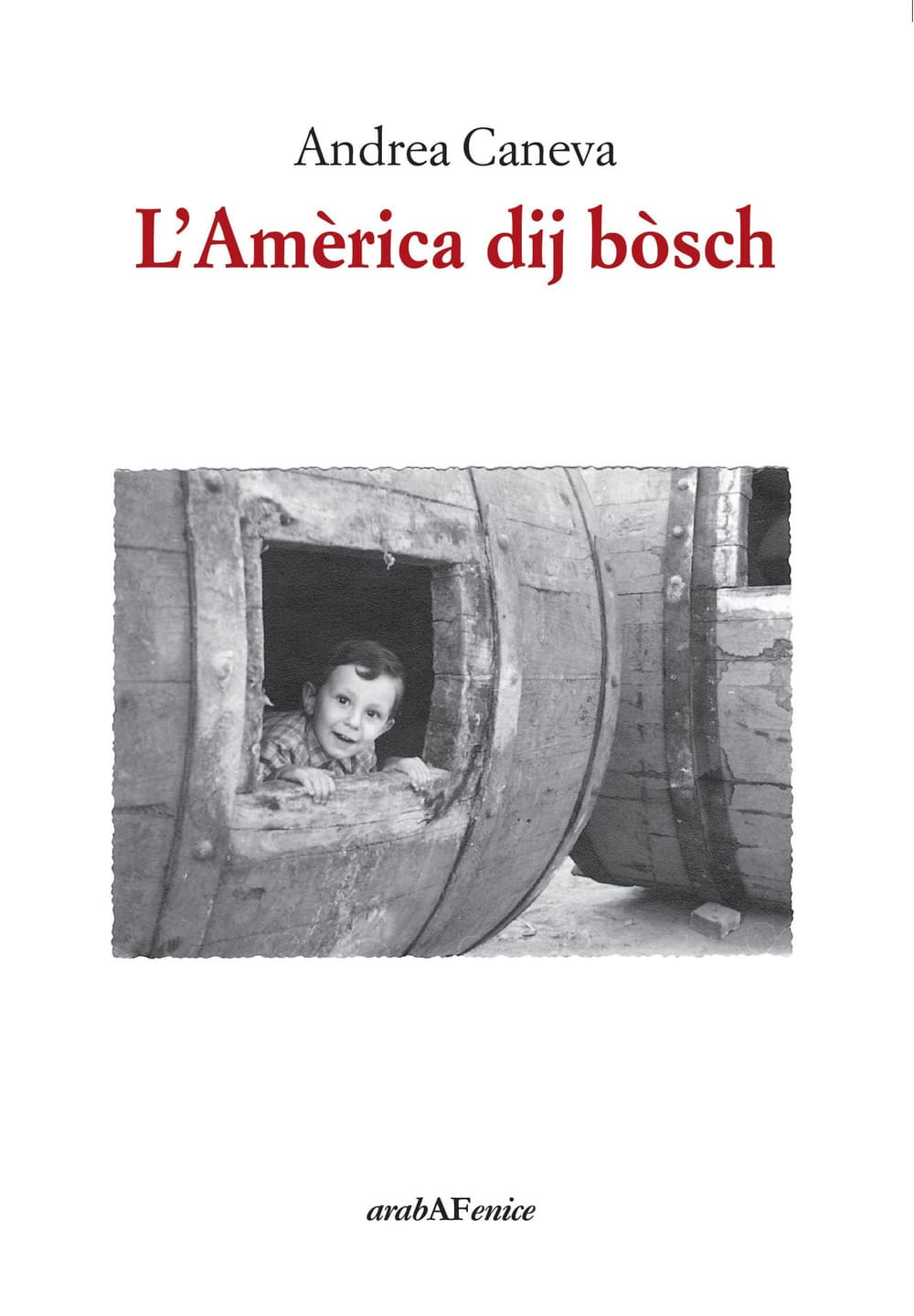 Amèrica dij bòsch