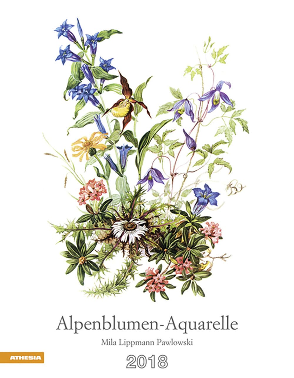 Alpenblumen acquarelle. Calendario 2018