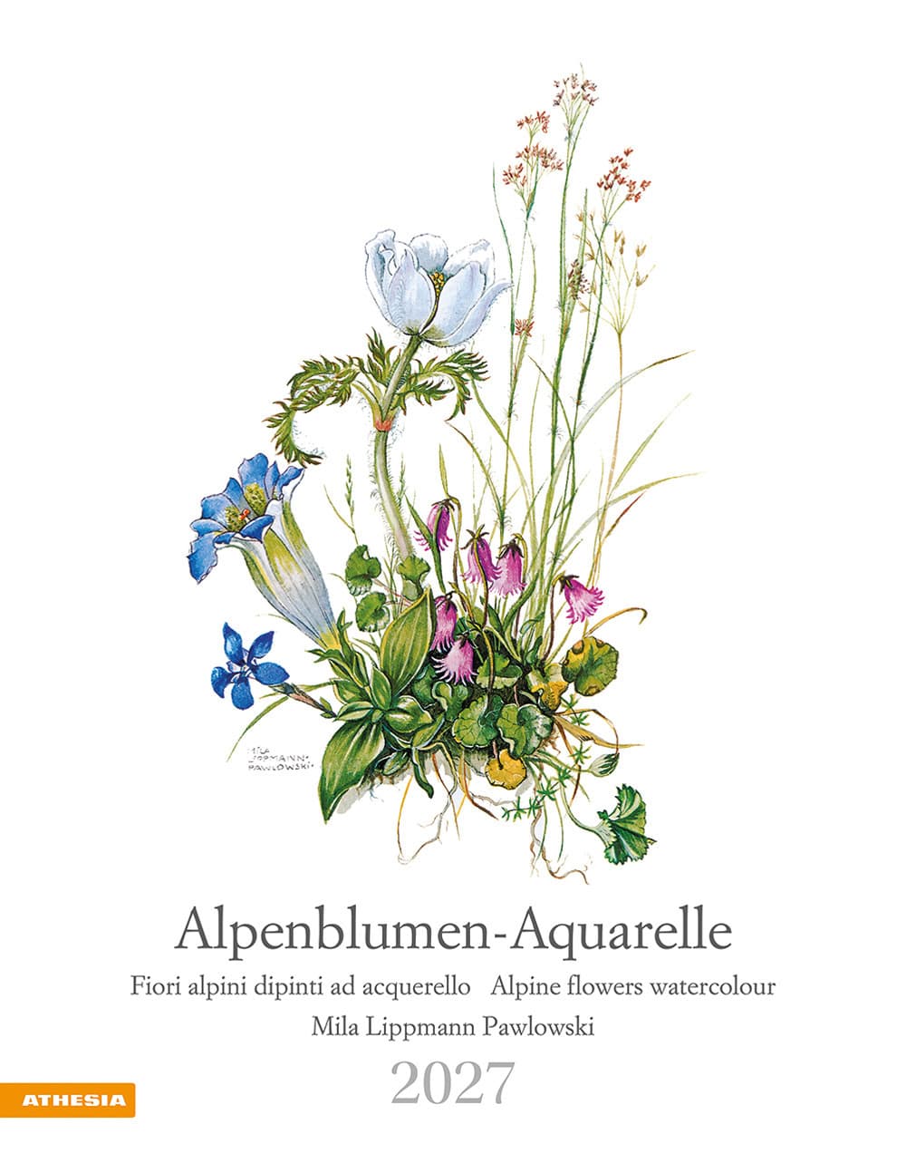 Alpenblumen-Aquarelle. Kalender 2027