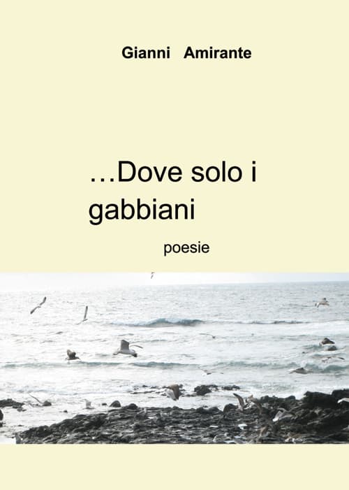 ...Dove solo i gabbiani