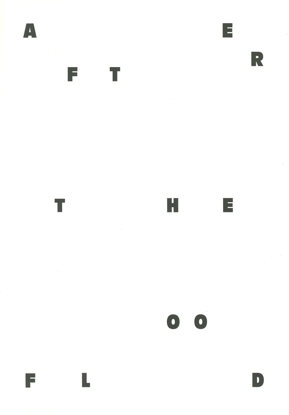 After the Flood. Images for disaster risk reduction. Ediz. italiana e inglese