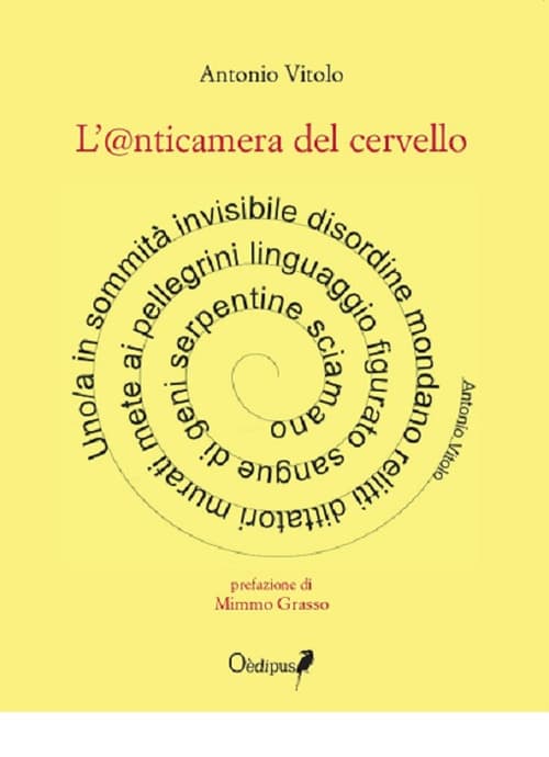 @nticamera del cervello