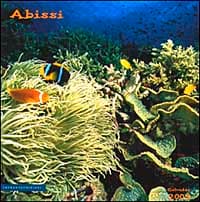 Abissi. Calendario 2003