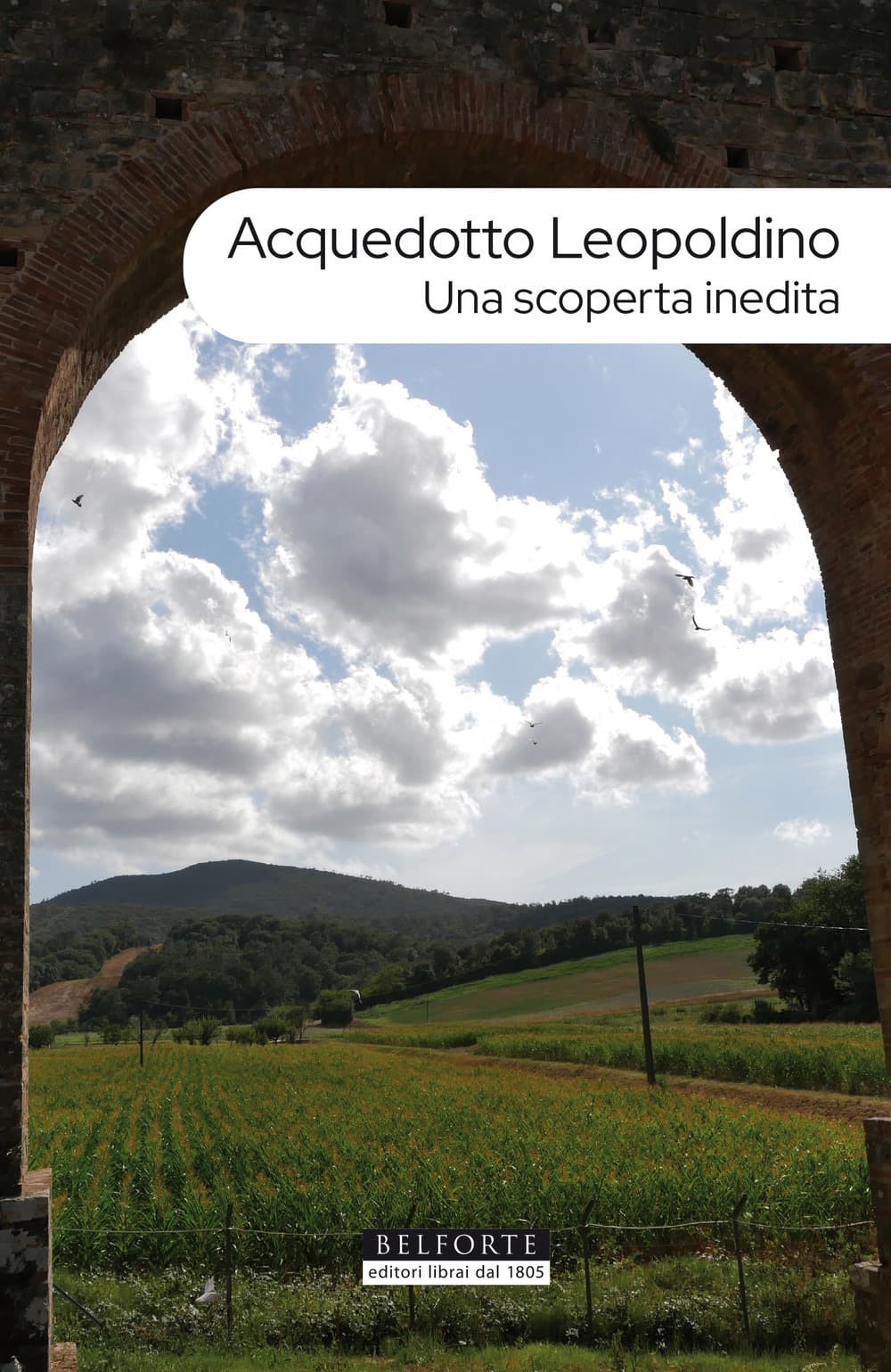 Acquedotto leopoldino. Una scoperta inedita