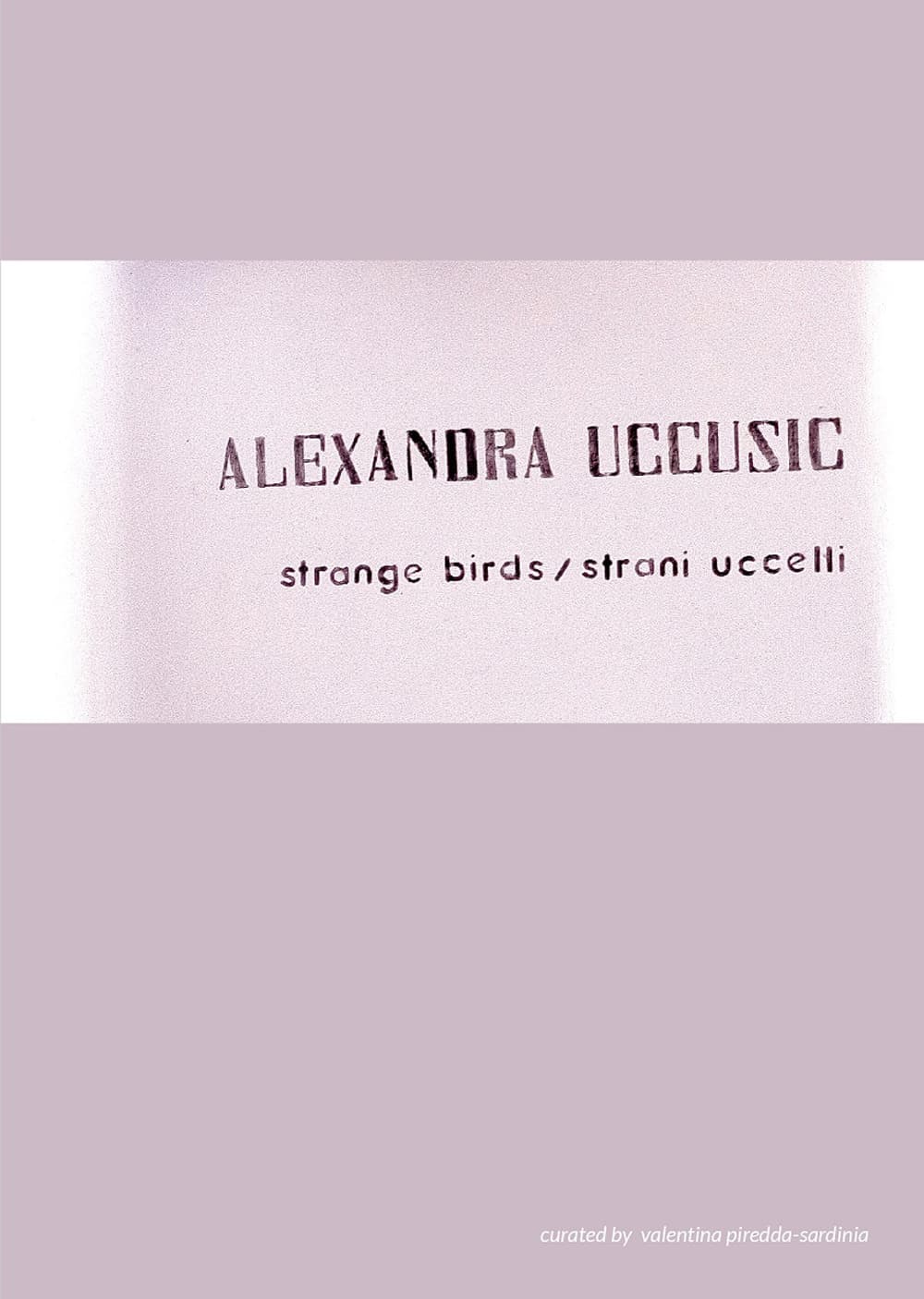 Alexandra Uccusic. Strange birds-Strani uccelli