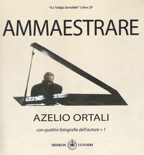 Ammaestrare. «La valigia invisibile» libro 29