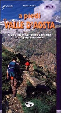 A piedi in Valle d'Aosta. 132 passeggiate, escursioni e trekking alla scoperta della natura