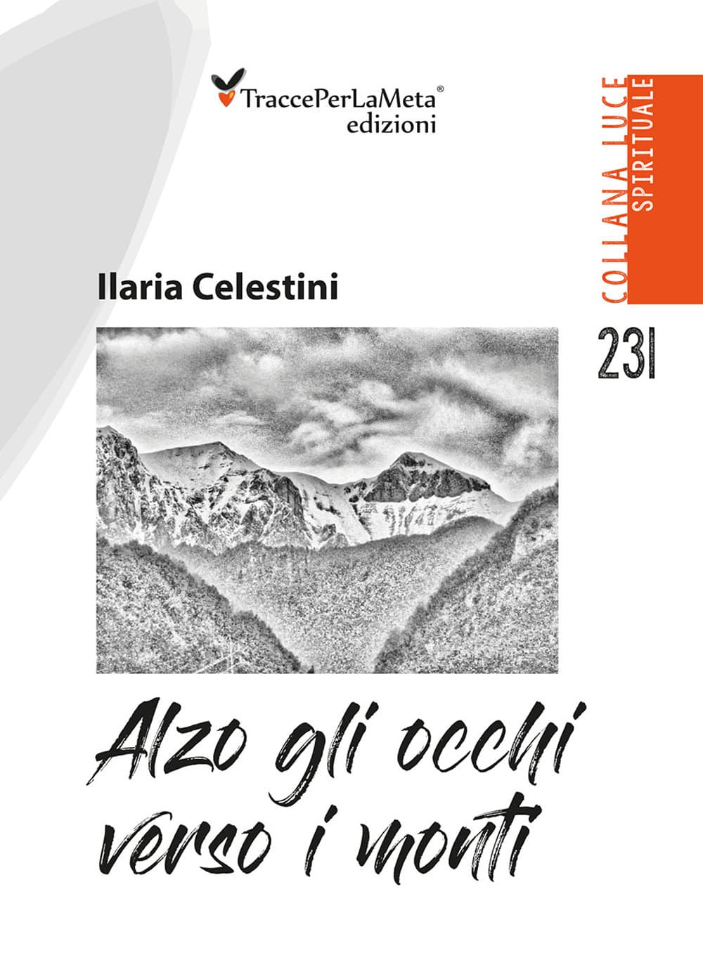 Alzo gli occhi verso i monti. Appunti di viaggio nella vita