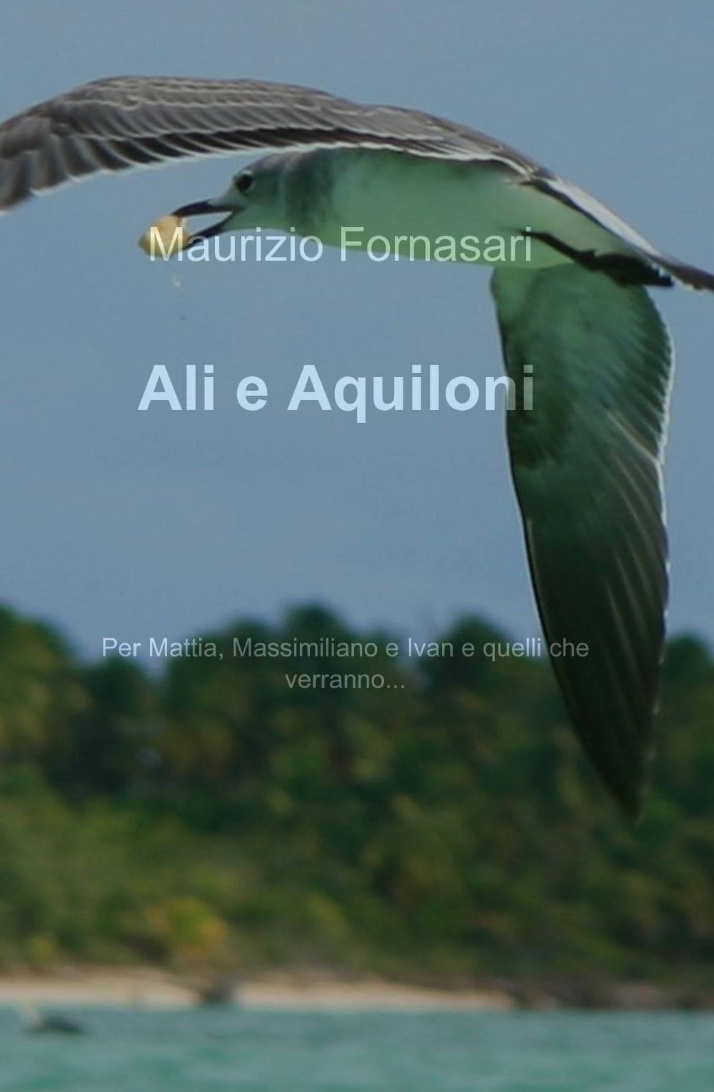 Ali e aquiloni