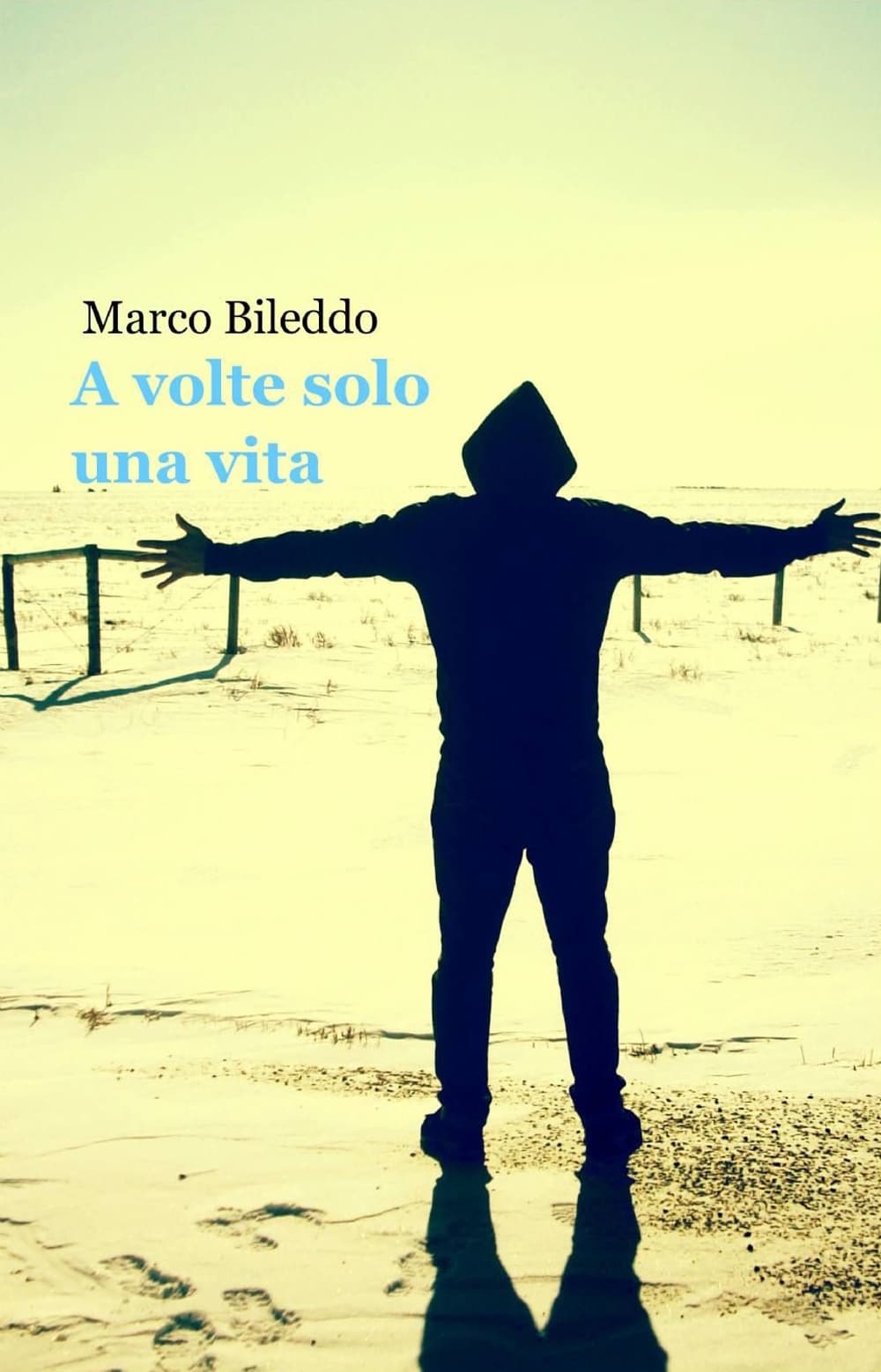 A volte solo una vita