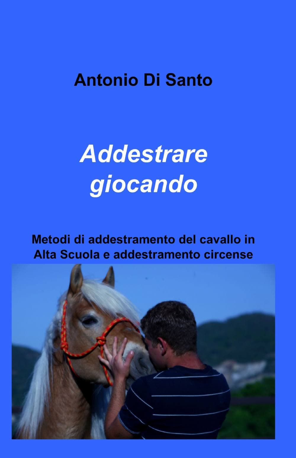 Addestrare giocando