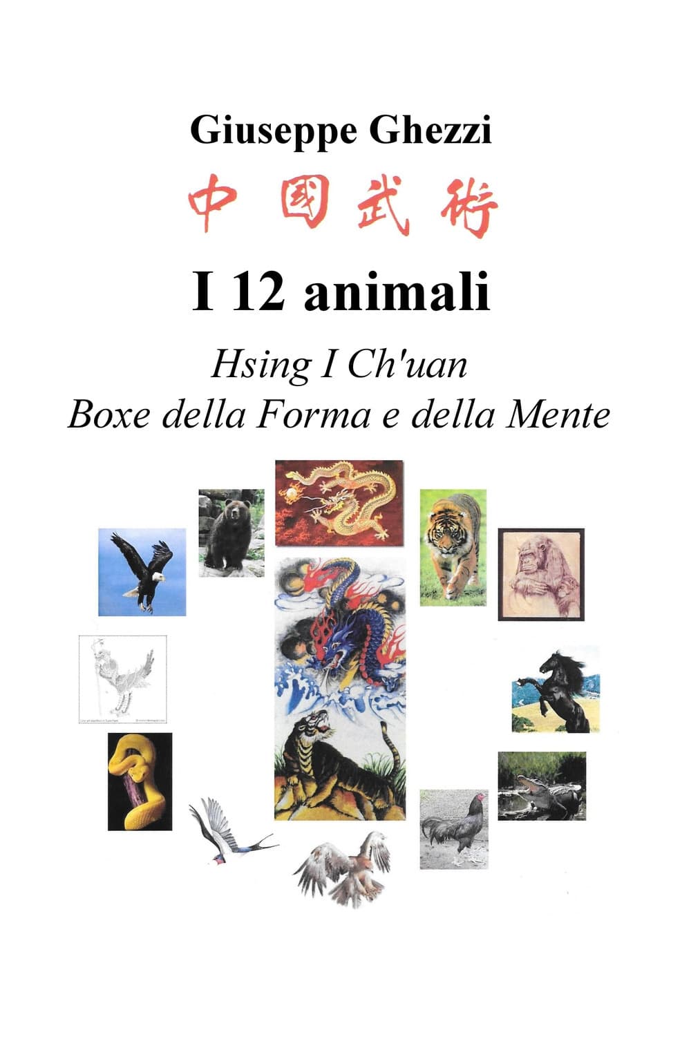 12 animali. Boxe della forma e della mente