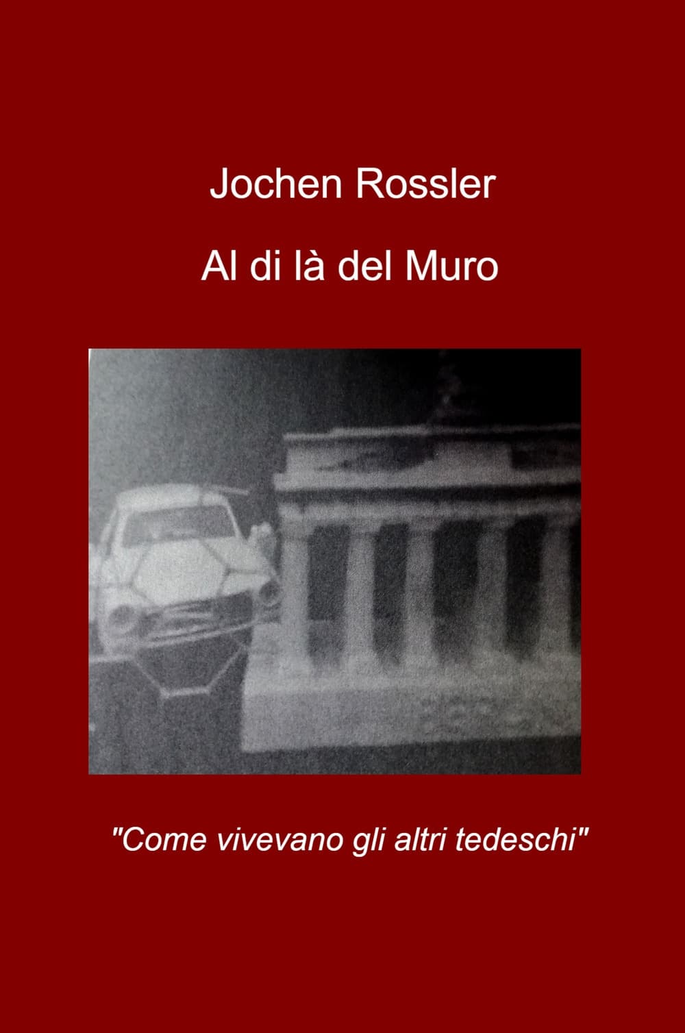 Al di la del muro. «Come vivevano gli altri tedeschi»
