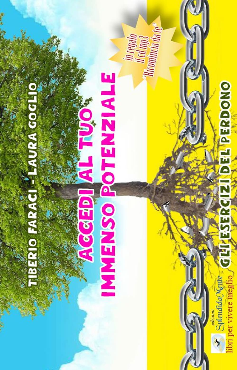 Accedi al tuo immenso potenziale. Gli esercizi del perdono
