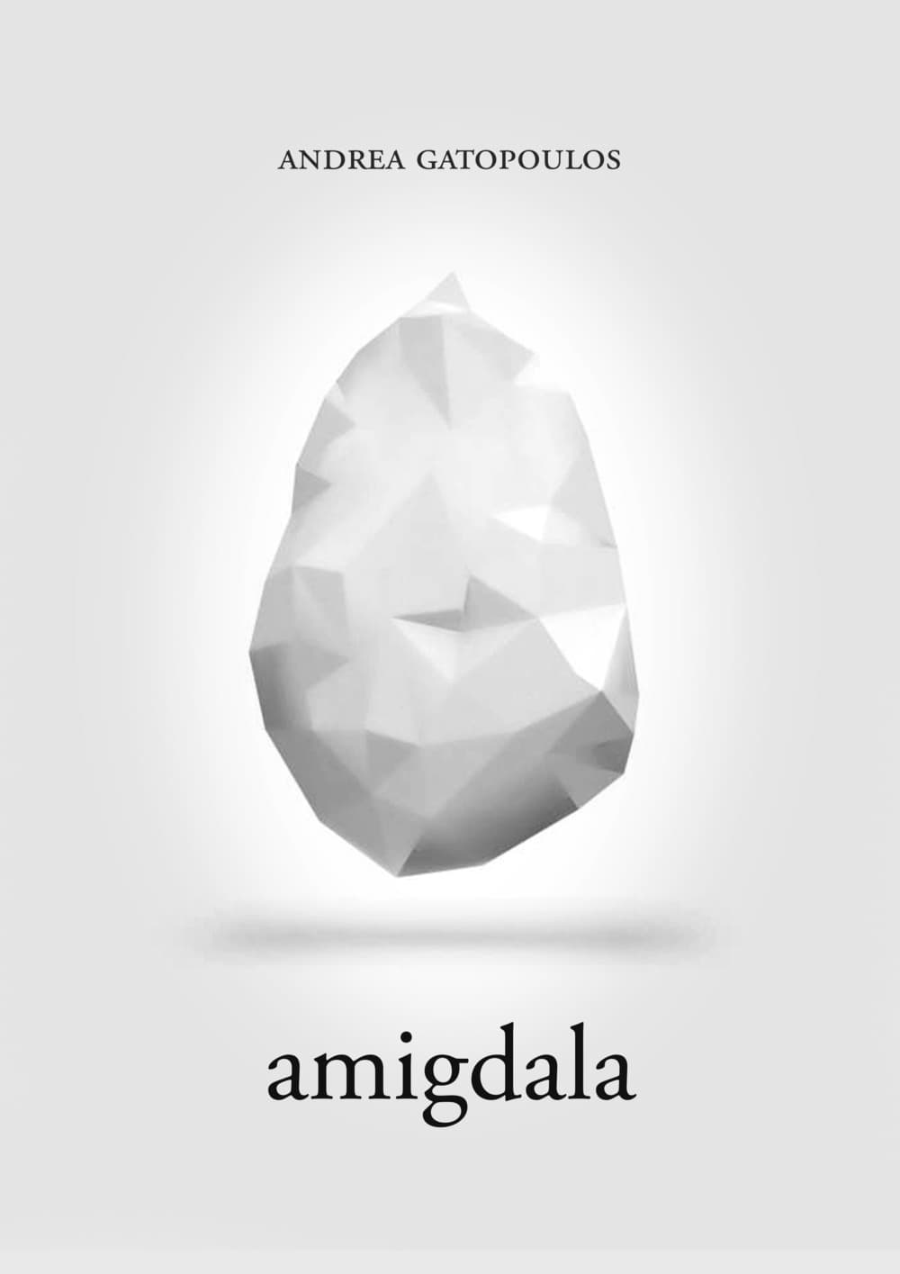 Amigdala