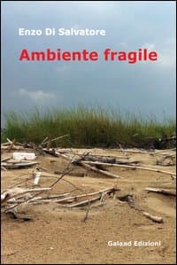 Ambiente fragile