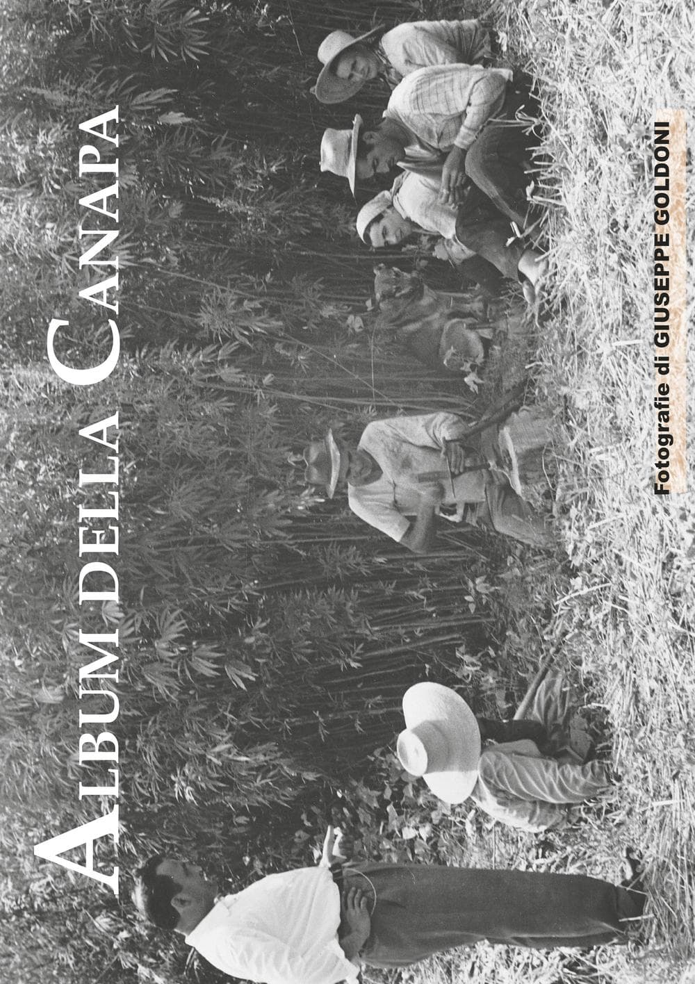 Album della canapa. Eccezionale servizio fotografico, realizzato nel 1950 circa, dedicato alla coltivazione della canapa