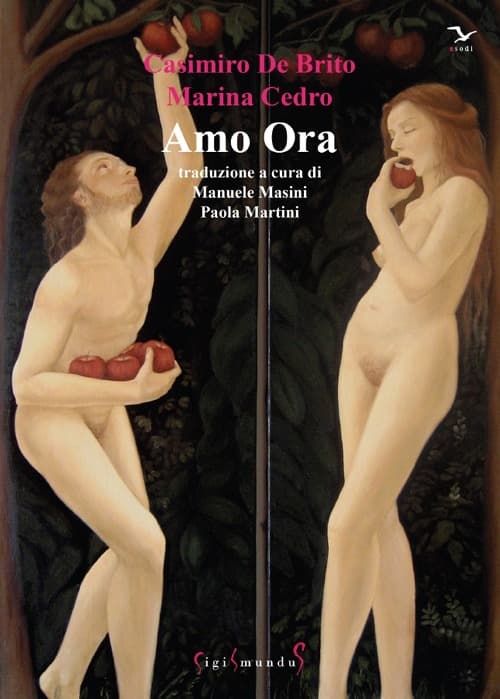 Amo ora