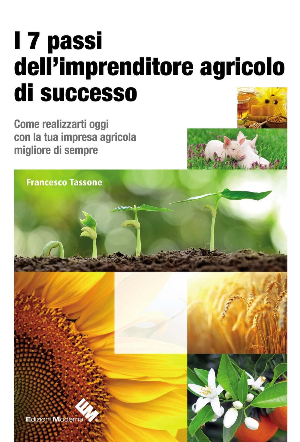 7 passi dell’imprenditore agricolo di successo. Come realizzarti oggi con la tua impresa agricola migliore di sempre