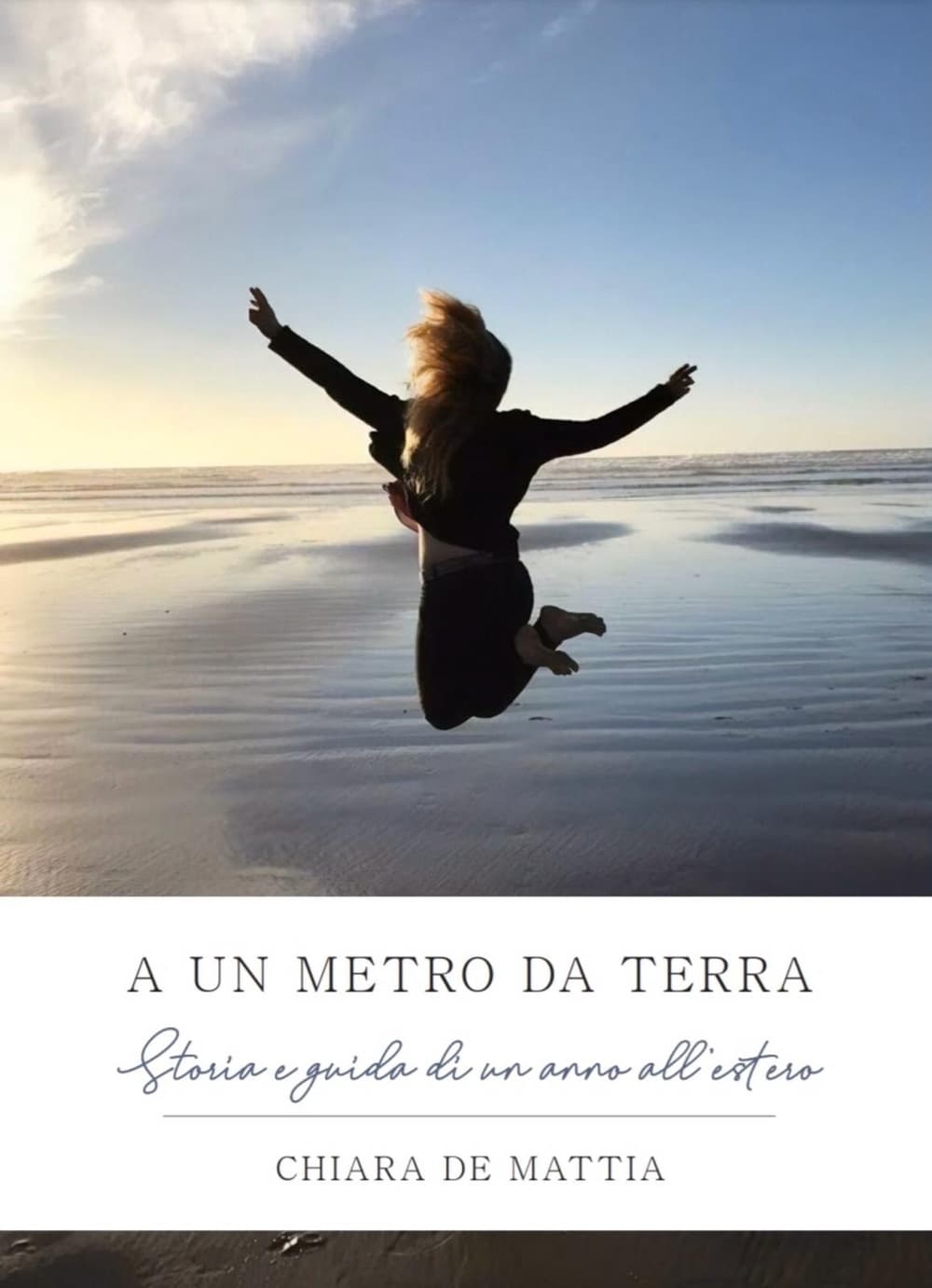 A un metro da terra. Storia e guida di un anno all'estero