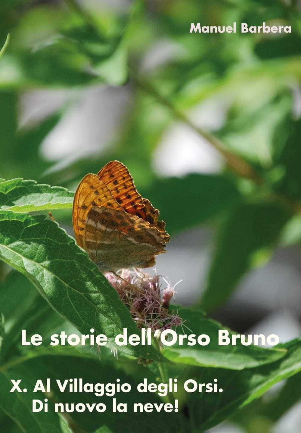 Al villaggio degli orsi. Di nuovo la neve! Le storie dell'orso bruno