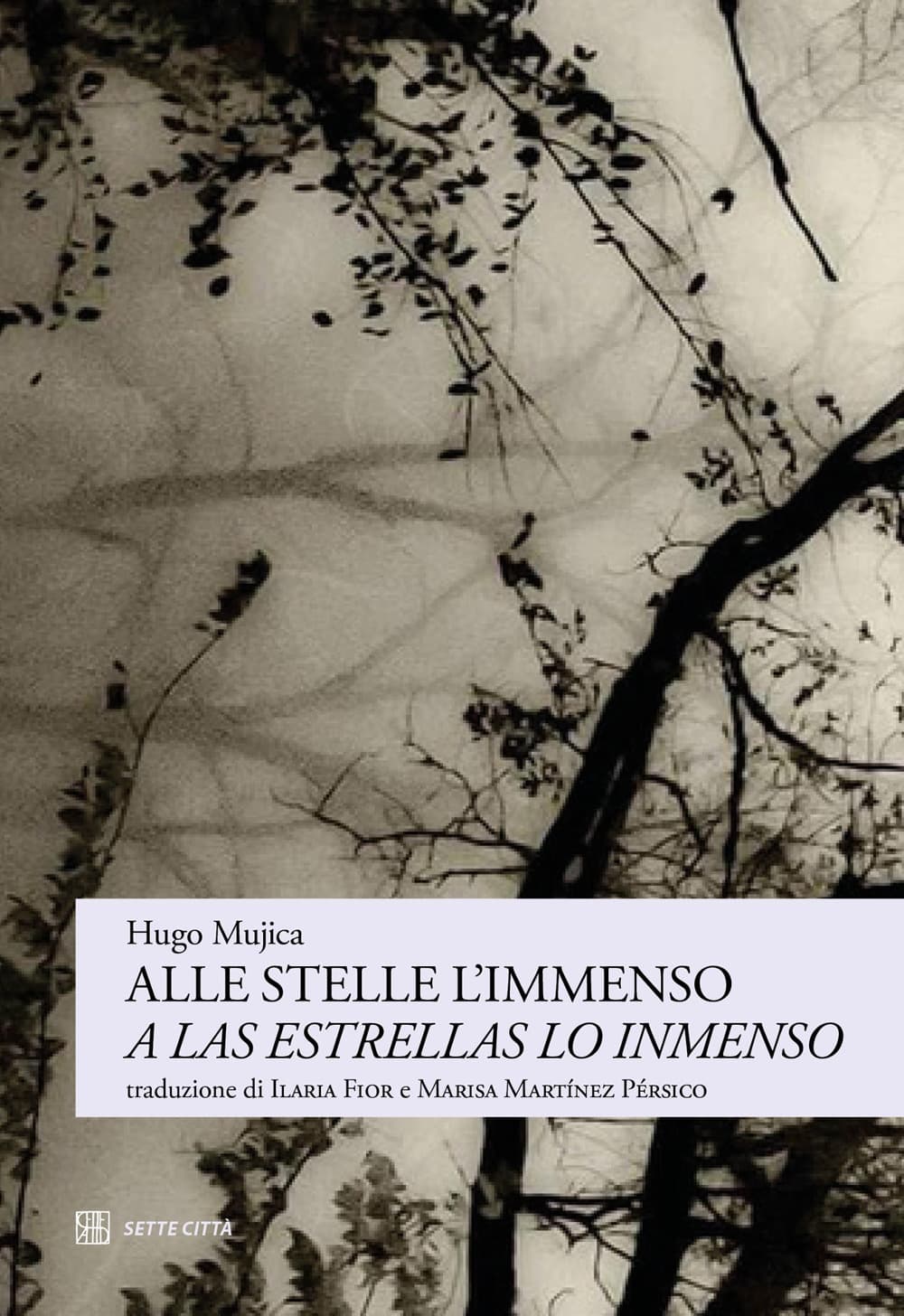 Alle stelle l’immenso-A las estrellas lo inmenso