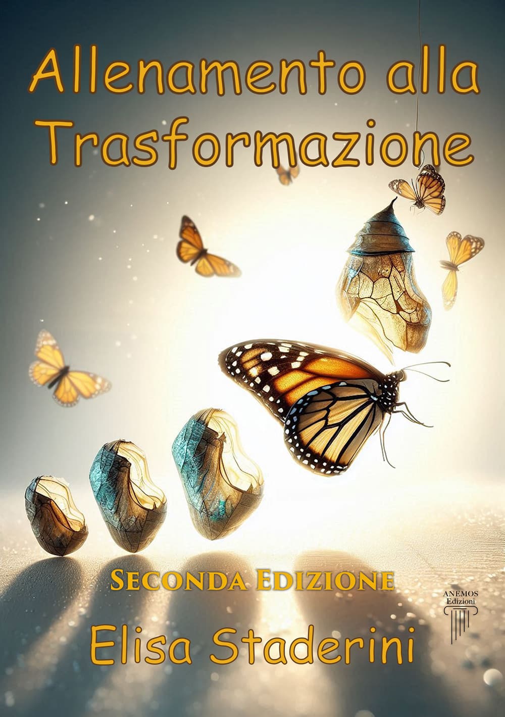 Allenamento alla trasformazione