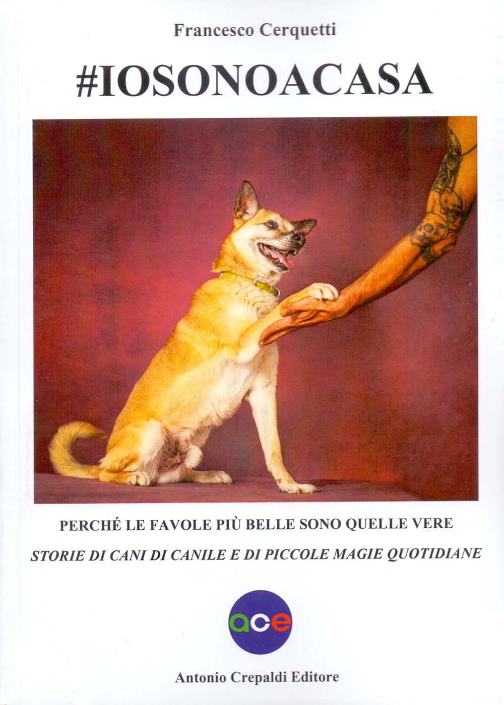 #iosonoacasa. Perché le favole più belle sono quelle vere. Storie di cani di canile e di piccole magie quotidiane