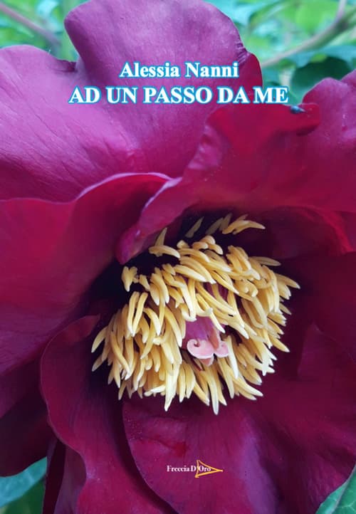 Ad un passo da me