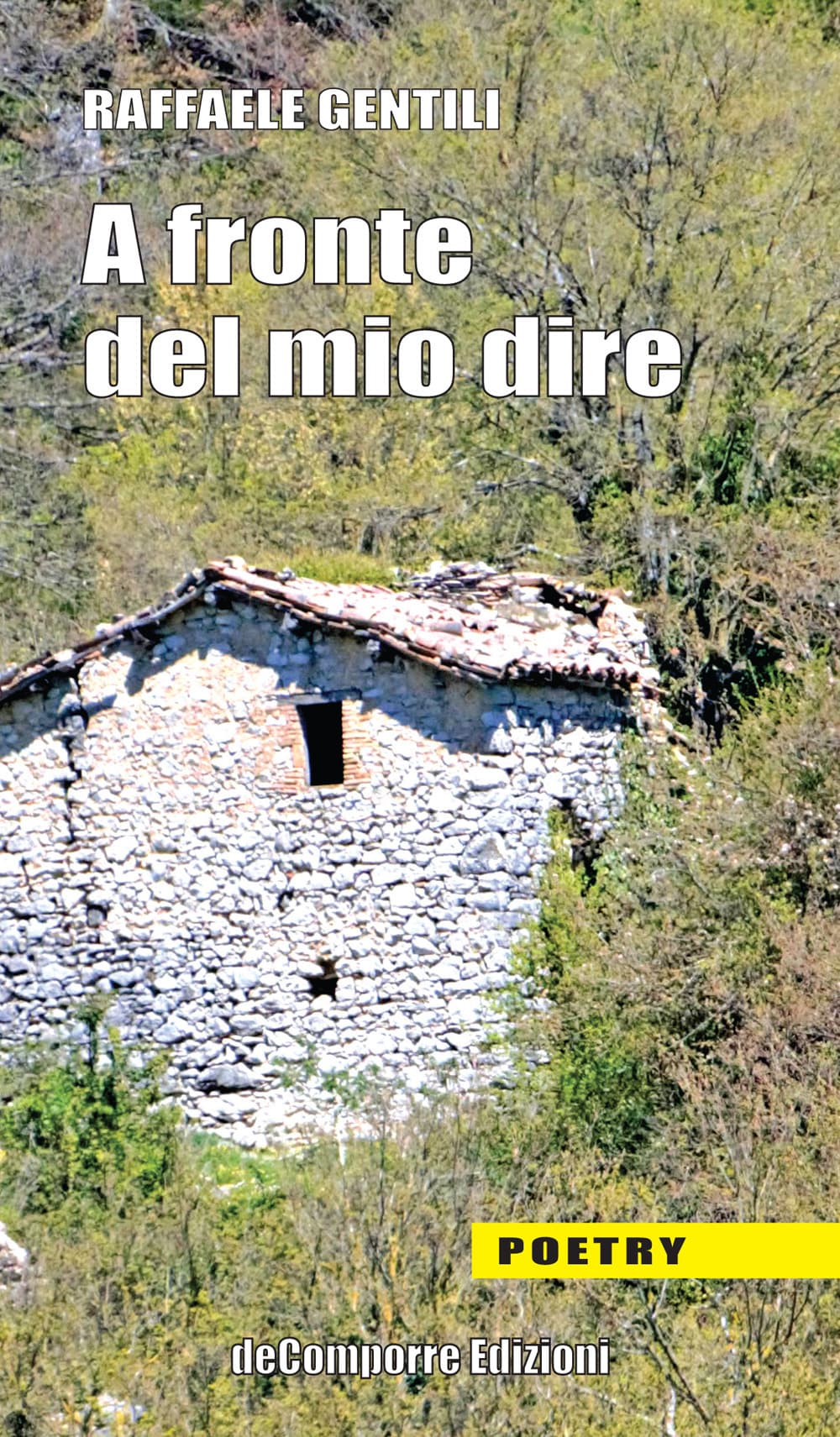 A fronte del mio dire